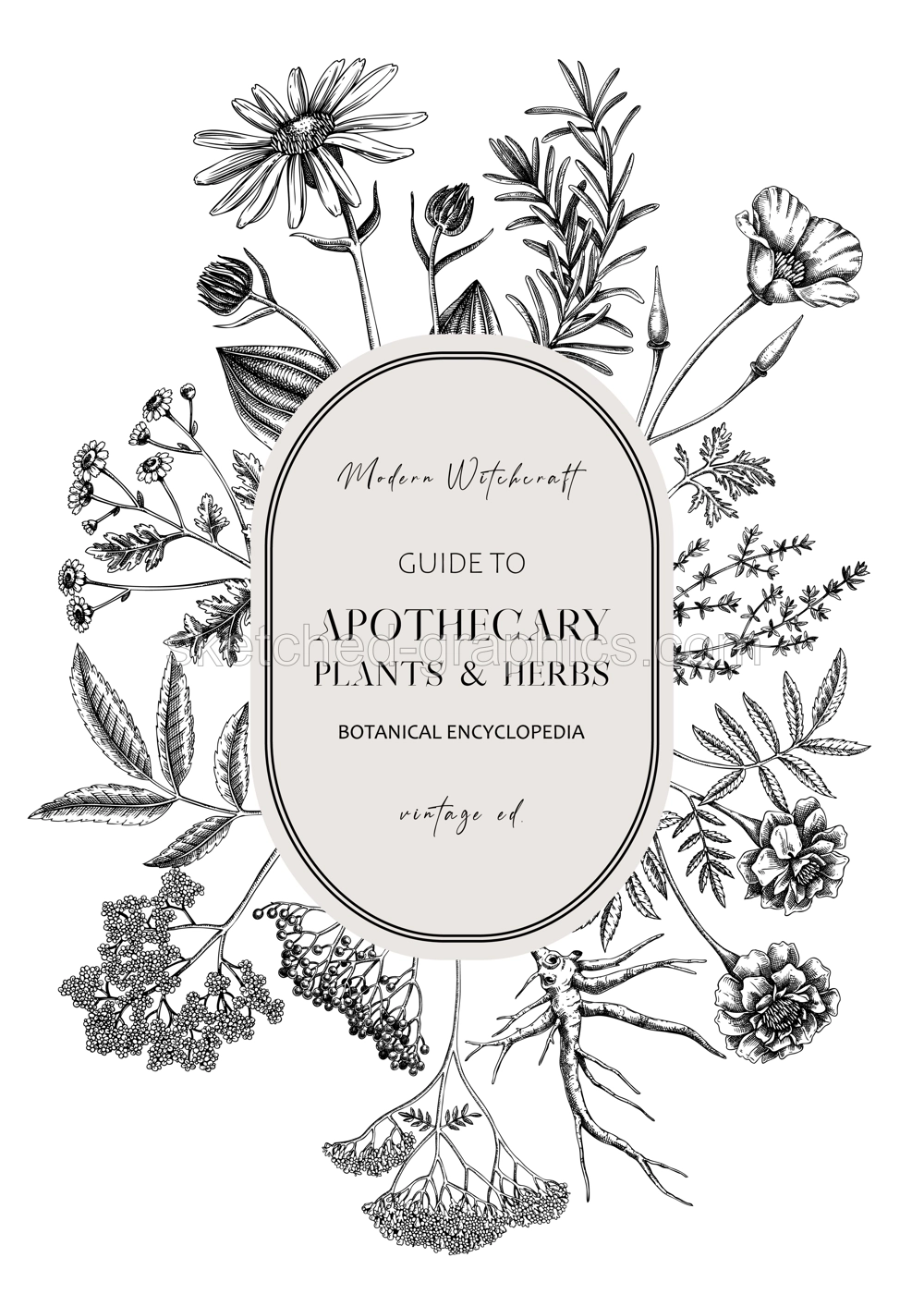 Apothecary plant wreath design. Witchcraft background. Herbal remedies, medicinal plant, witch herbs, natural medicine hand-drawn vector illustration. NOT AI genereted Illustration